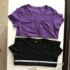 Kim Rogers- Lot of 2, Black, Purple  100% cotton Tees, cap sleeve, Size M and PM